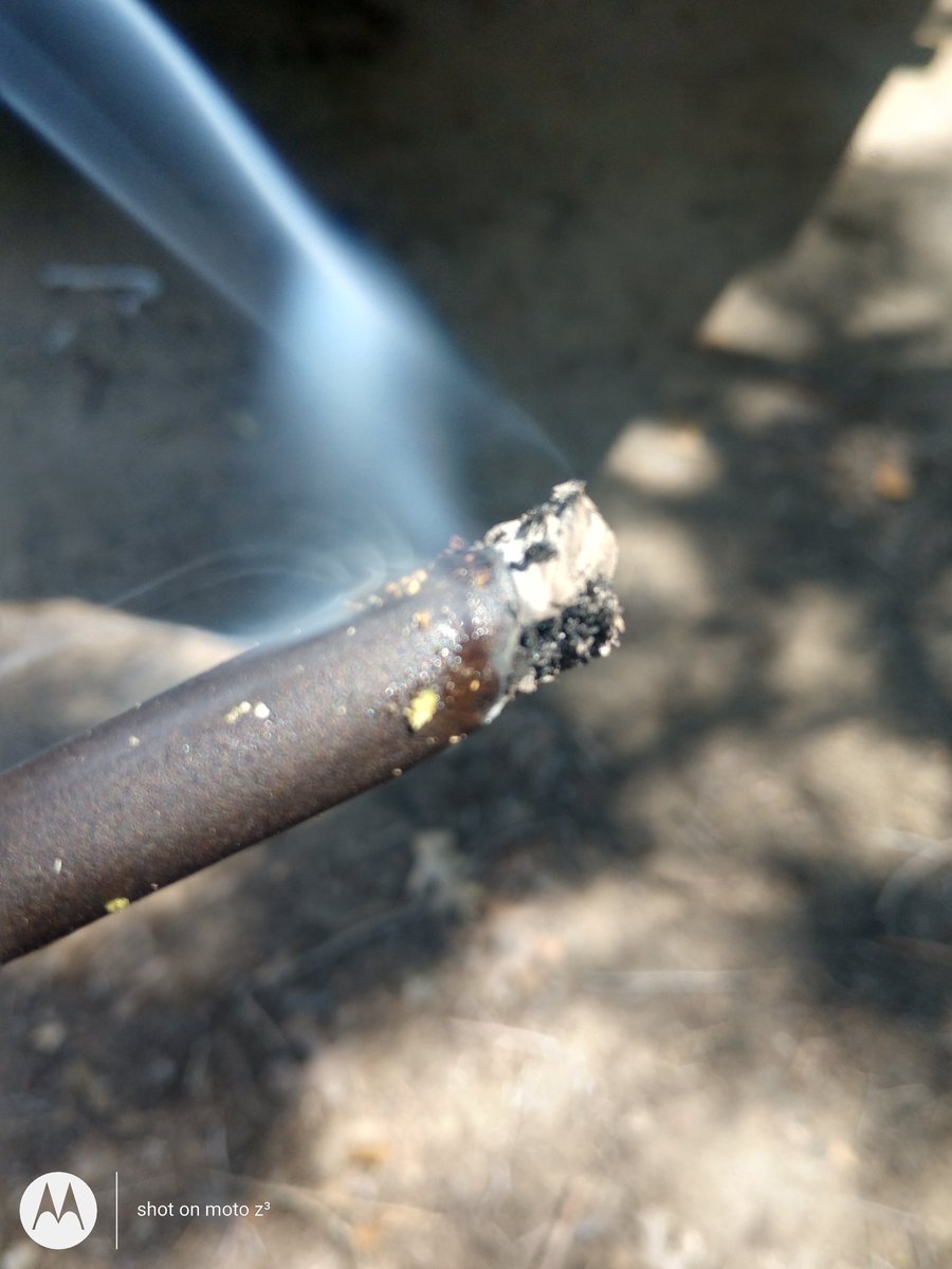 hellb1911's tweet image. Starting the day 😮‍💨