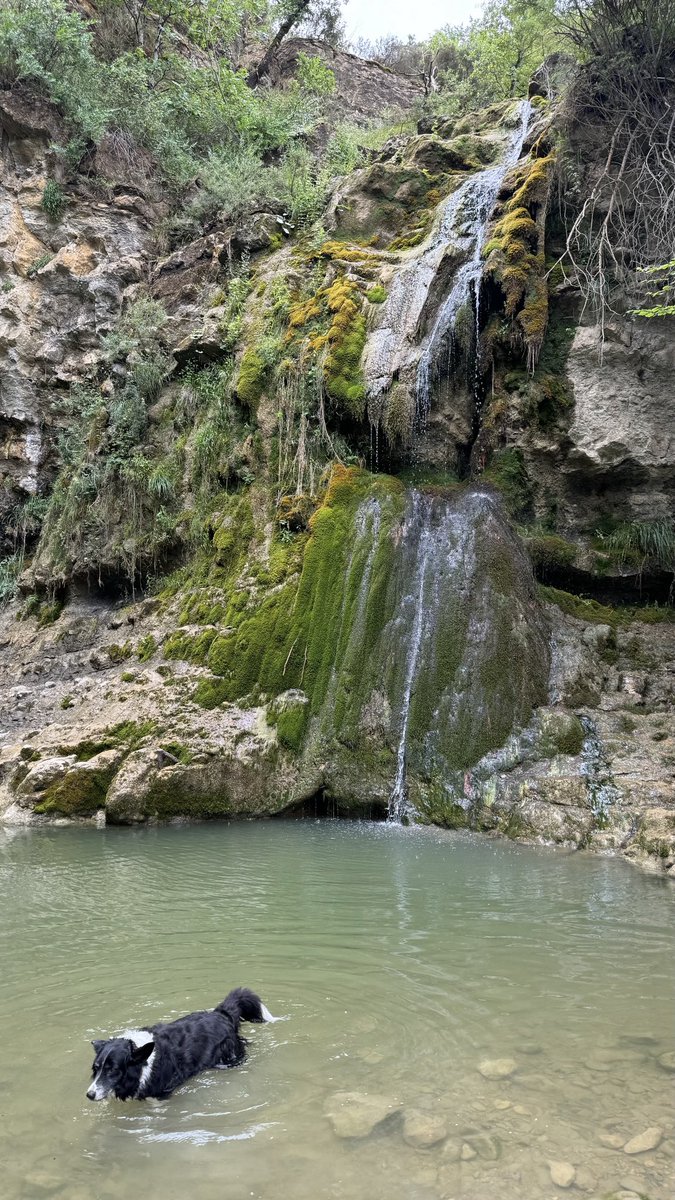 Bonne journée mes amis 🐾. C’est toujours agréable de se rafraîchir en randonnée.
