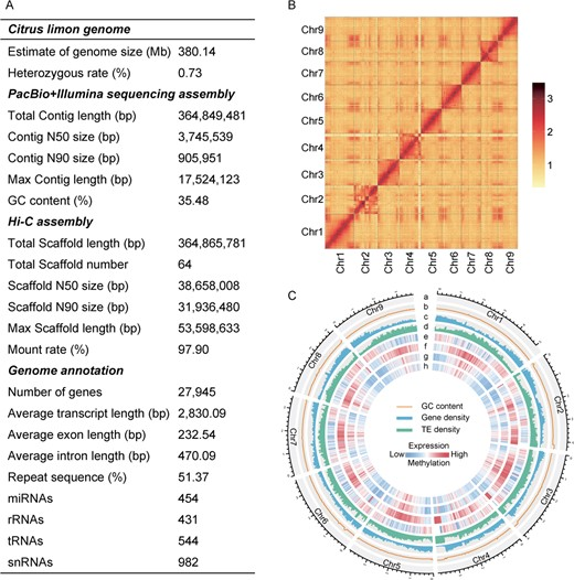 Horticulture Research (@hortres) on Twitter photo Lemon genome decoded! DNA methylation drives citric acid synthesis, key to flavor & market value. #LemonGenomics #DNAMethylation <a href="/OxfordJournals/">Oxford Journals</a>
Details:doi.org/10.1093/hr/uha… Lemon genome decoded! DNA methylation drives citric acid synthesis, key to flavor & market value. #LemonGenomics #DNAMethylation <a href="/OxfordJournals/">Oxford Journals</a>
Details:doi.org/10.1093/hr/uha…