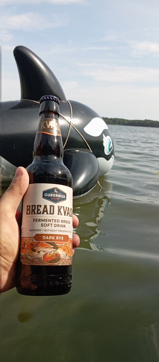 Lavender bush tweet media