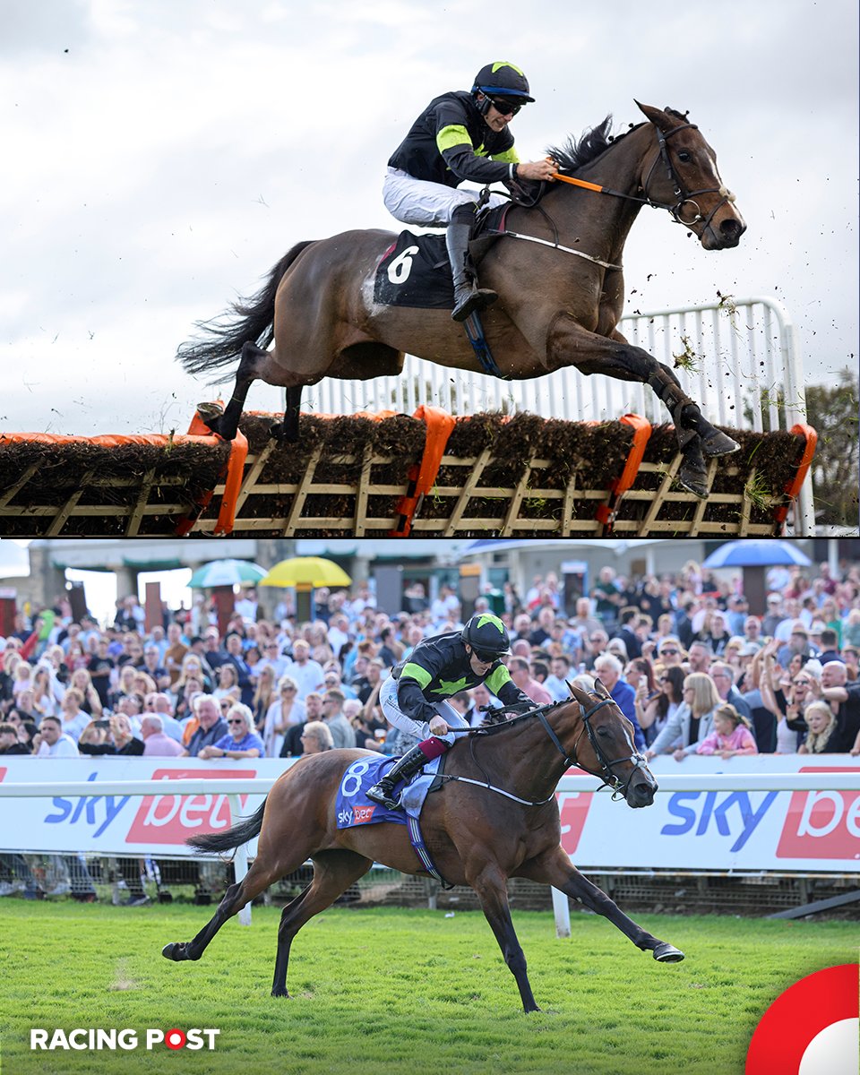 Magical Zoe in 2024:

∙ Fourth in the County Hurdle at the Cheltenham Festival 
∙ Wins the Ebor Handicap at York

What a dual-purpose mare 🥰