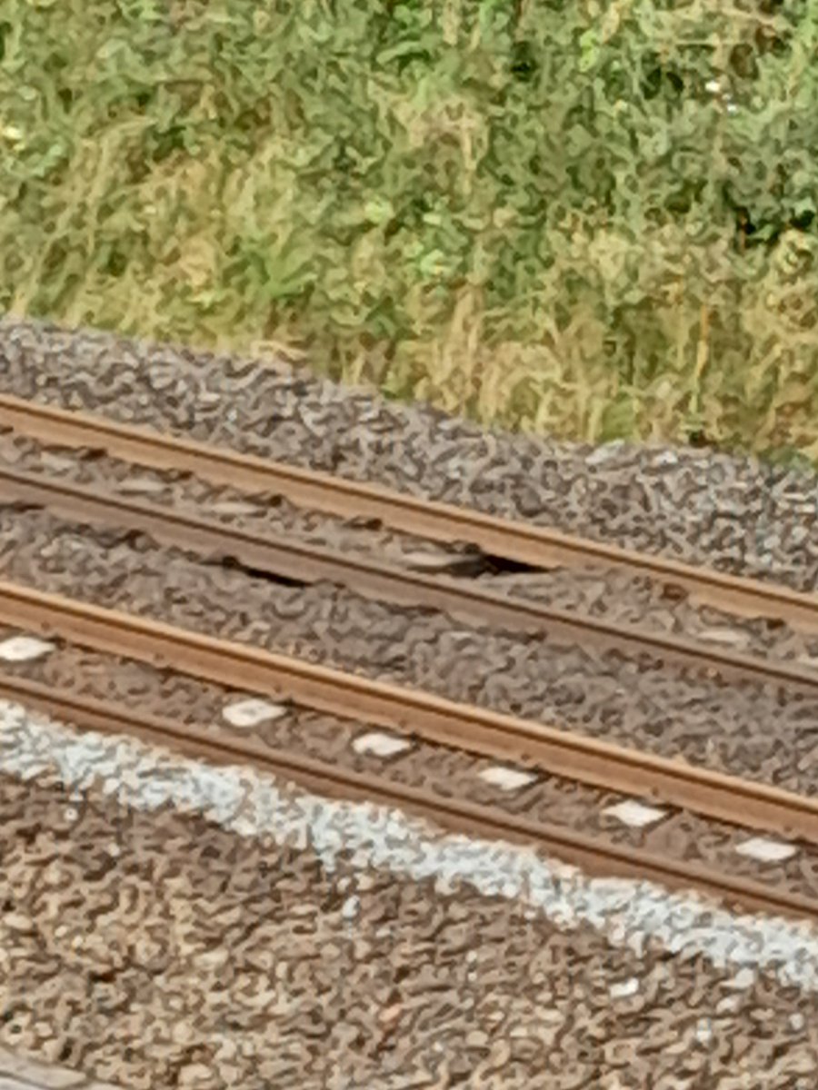 Peter Laithwaite tweet media