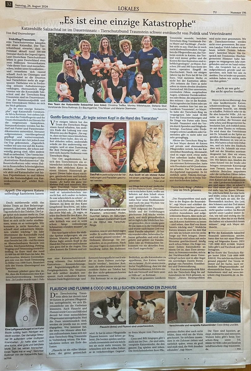 Gysete 🌈 tweet media