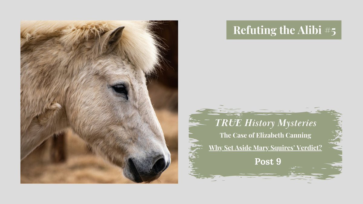 McwilliamsKaty's tweet image. 🤔 Mr. Smith spoke to Mary Squires about a lost pony on December 15th. Her name was on its shoe. The gypsies claimed there was no pony. Was Mary Squires really guilty? Why overturn the verdict?⚖️📣 Share your thoughts! #trustingodsplan #mysterynovel #historicalfictionreader