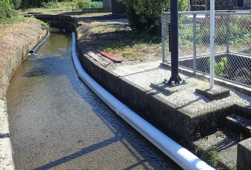 滋賀県のかつてのハリヨ生息地の今。右の湧水枡は今は防火用水の溜まり水に。左のバイカモ繁茂であった水路は見事な（皮肉）コンクリート水路に。前世紀に論文化した調査地であった。目の当たりにすると、遣る瀬なく何のための研究だったかと思ったりもする。