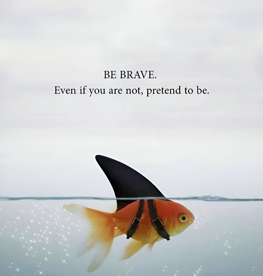 Zoltium (@zoltiumhq) on Twitter photo 