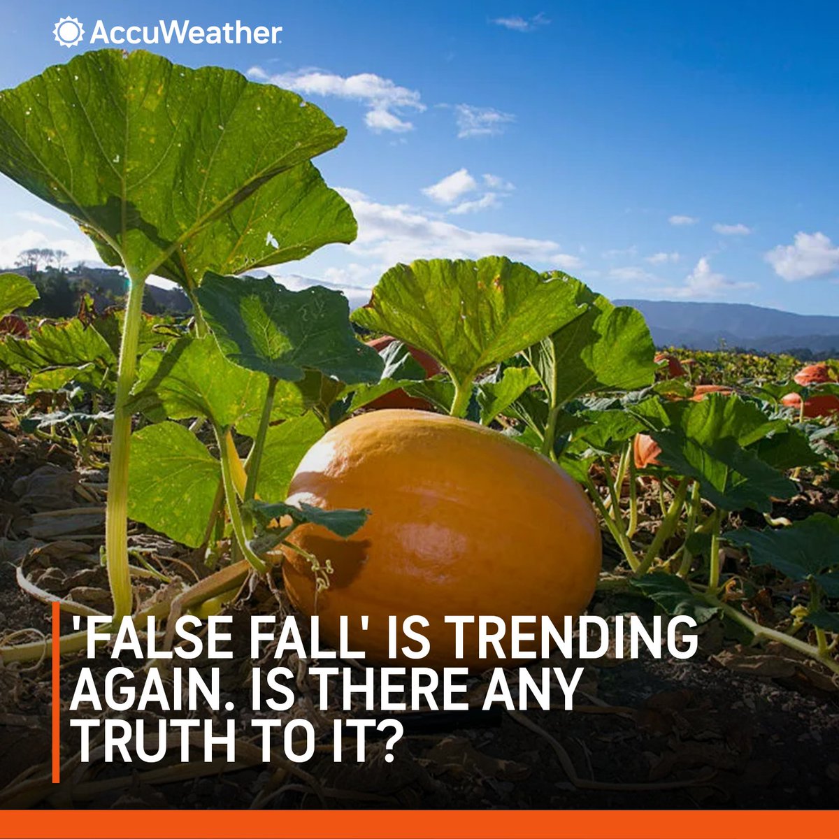 Unseasonably cool weather led to "False Fall" once again trending on social media. But what's the actual science here? 🍁 bit.ly/3YZovme