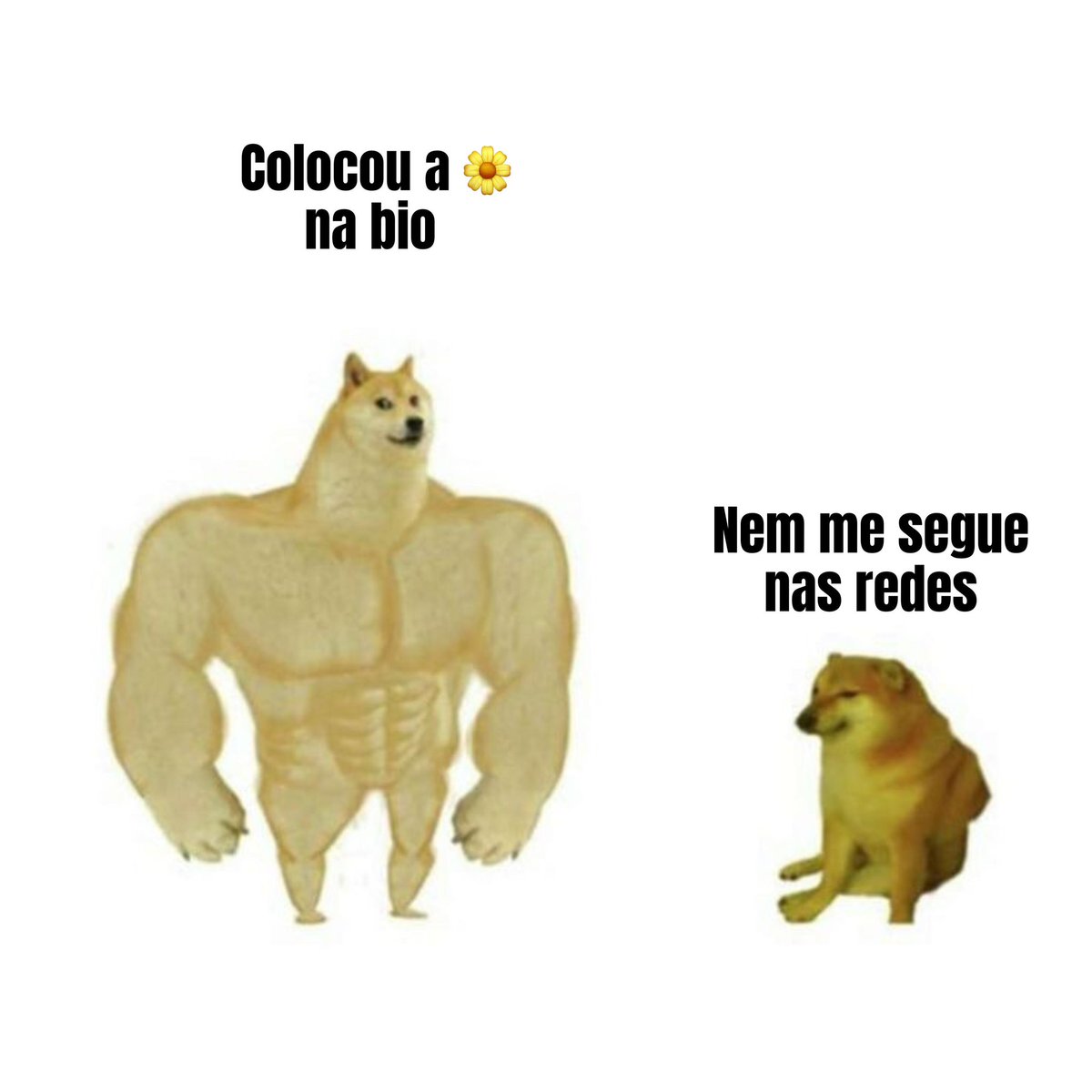 MondardoGiovana's tweet photo. 🌼 PRENSADÃO DE MEMES DA GI MONDARDO 65123🌼

Comenta com qual meme você mais se identifica! https://t.co/V4g9EhrAuE