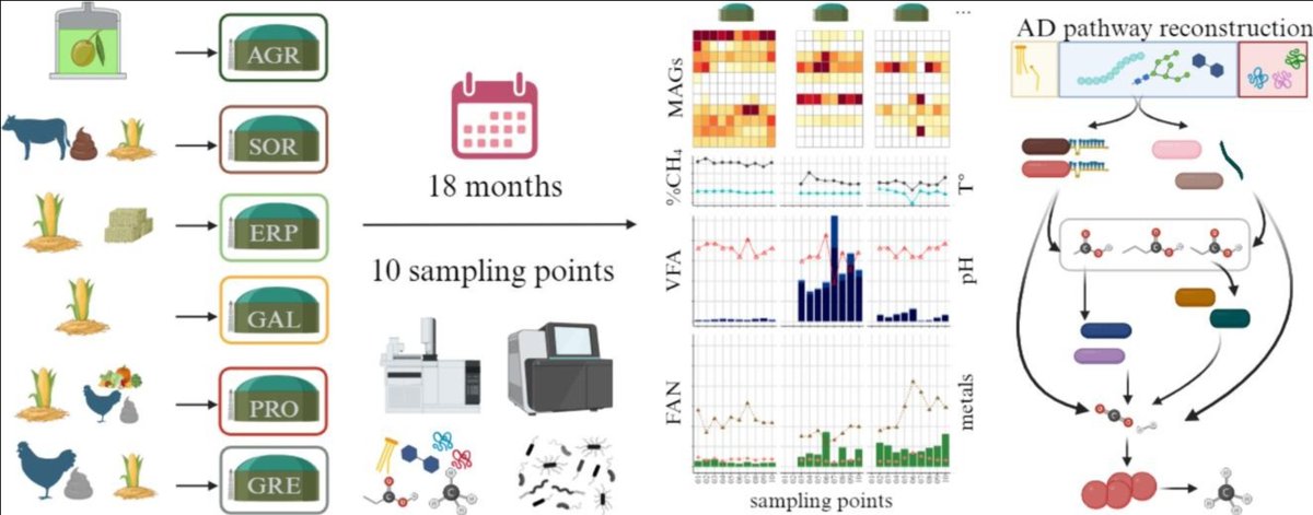 stefano campanaro (@campanarostef) on Twitter photo New paper out! A huge effort for tracking #microbiome evolution in #biogas #reactors! Kudos to all the authors <a href="/davide_sant_1/">Davide Santinello</a> <a href="/guido_zampieri/">Guido Zampieri</a> <a href="/LauraTreu/">Laura Treu</a> and <a href="/fondcariverona/">Fondazione Cariverona</a> <a href="/BTS_Biogas/">BTS Biogas</a> for economical support <a href="/DiBio_UniPD/">Department of Biology – University of Padova</a> sciencedirect.com/science/articl… #anaerobic #digestion #metagenomics New paper out! A huge effort for tracking #microbiome evolution in #biogas #reactors! Kudos to all the authors <a href="/davide_sant_1/">Davide Santinello</a> <a href="/guido_zampieri/">Guido Zampieri</a> <a href="/LauraTreu/">Laura Treu</a> and <a href="/fondcariverona/">Fondazione Cariverona</a> <a href="/BTS_Biogas/">BTS Biogas</a> for economical support <a href="/DiBio_UniPD/">Department of Biology – University of Padova</a> sciencedirect.com/science/articl… #anaerobic #digestion #metagenomics