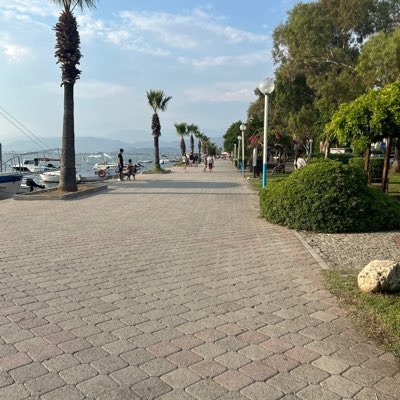 CharliePaypig's tweet image. #NewProfilePic