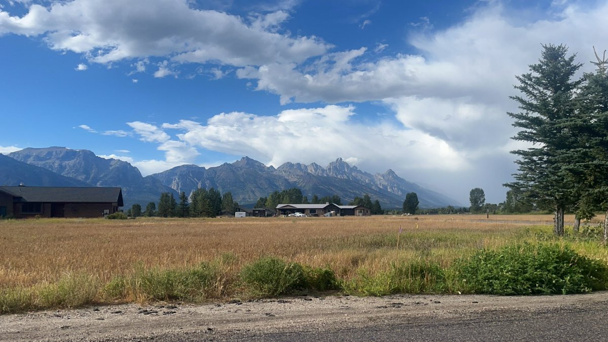 visualize77's tweet image. Jackson WY