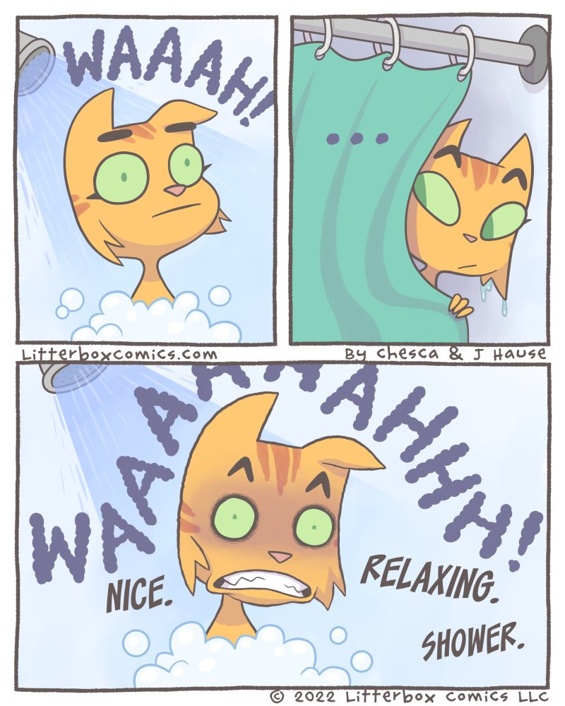 #Caturday Repost!  I can't be the only one... 🚿