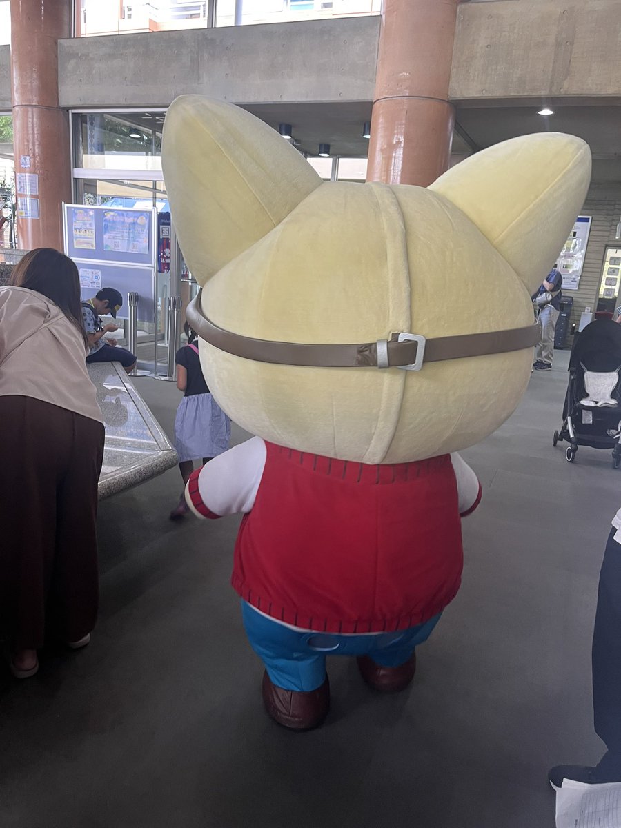 後ろからこてつくんを、激写📸