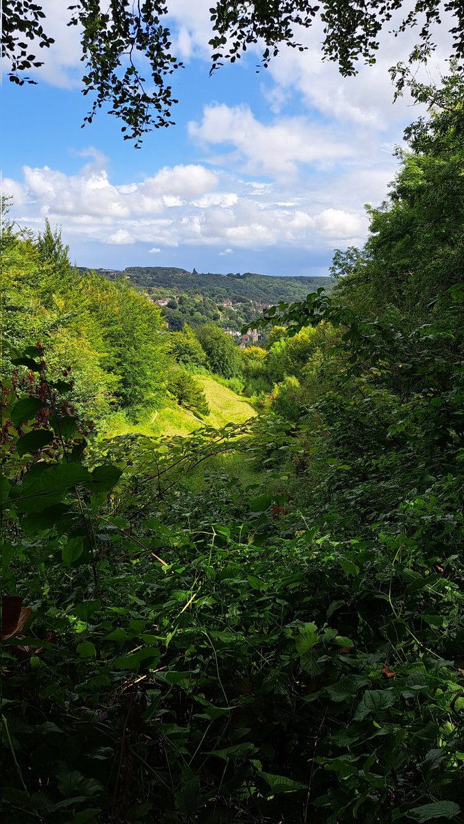 MarkFoster.MF tweet media