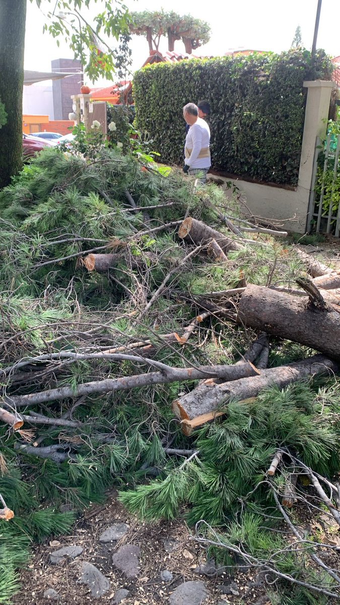 Protección Civil tweet media