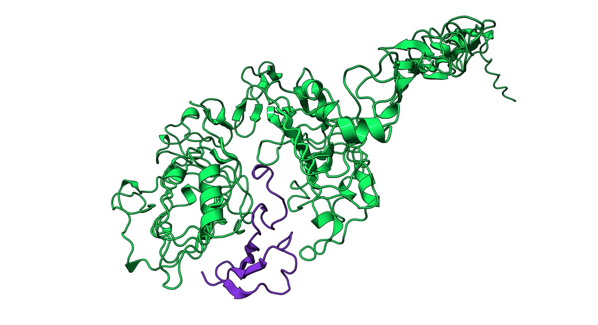 Alex Naka (@gottapatchemall) on Twitter photo 1/ I did my own little hackathon last weekend designing EGFR binders for <a href="/adaptyvbio/">Adaptyv Bio</a>'s protein design competition. I was really excited to see that my submissions took the top 10 spots in the virtual scoring phase! I got some DMs asking about my process so here's a thread: 1/ I did my own little hackathon last weekend designing EGFR binders for <a href="/adaptyvbio/">Adaptyv Bio</a>'s protein design competition. I was really excited to see that my submissions took the top 10 spots in the virtual scoring phase! I got some DMs asking about my process so here's a thread: