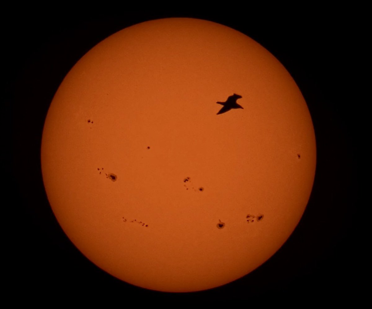 Finally caught a bird flying past the sun 😅