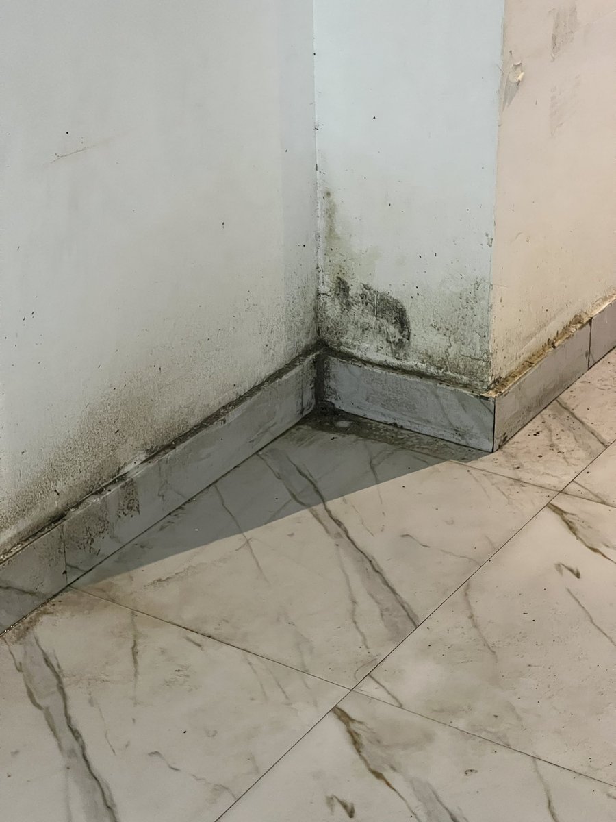 Raajjeyga bangaalhin ulhey goi najis vaaahka emmen dhahka iru mi dhivehi raajjeyge <a href="/Portmv/">Maldives Ports Limited</a> in alhaafa etha muvahzifunnah dheefa huri than thanuge haalath bahlava lahva 
Cc <a href="/HKurusee/">Hassan Kurusee</a> <a href="/mohamedwajeehIb/">Mohamed wajeeh</a> <a href="/presidencymv/">The President's Office</a> <a href="/MvCrisis/">#MvCrisis</a> <a href="/HPA_MV/">Health Protection Agency</a> <a href="/MoHmv/">Ministry of Health</a>