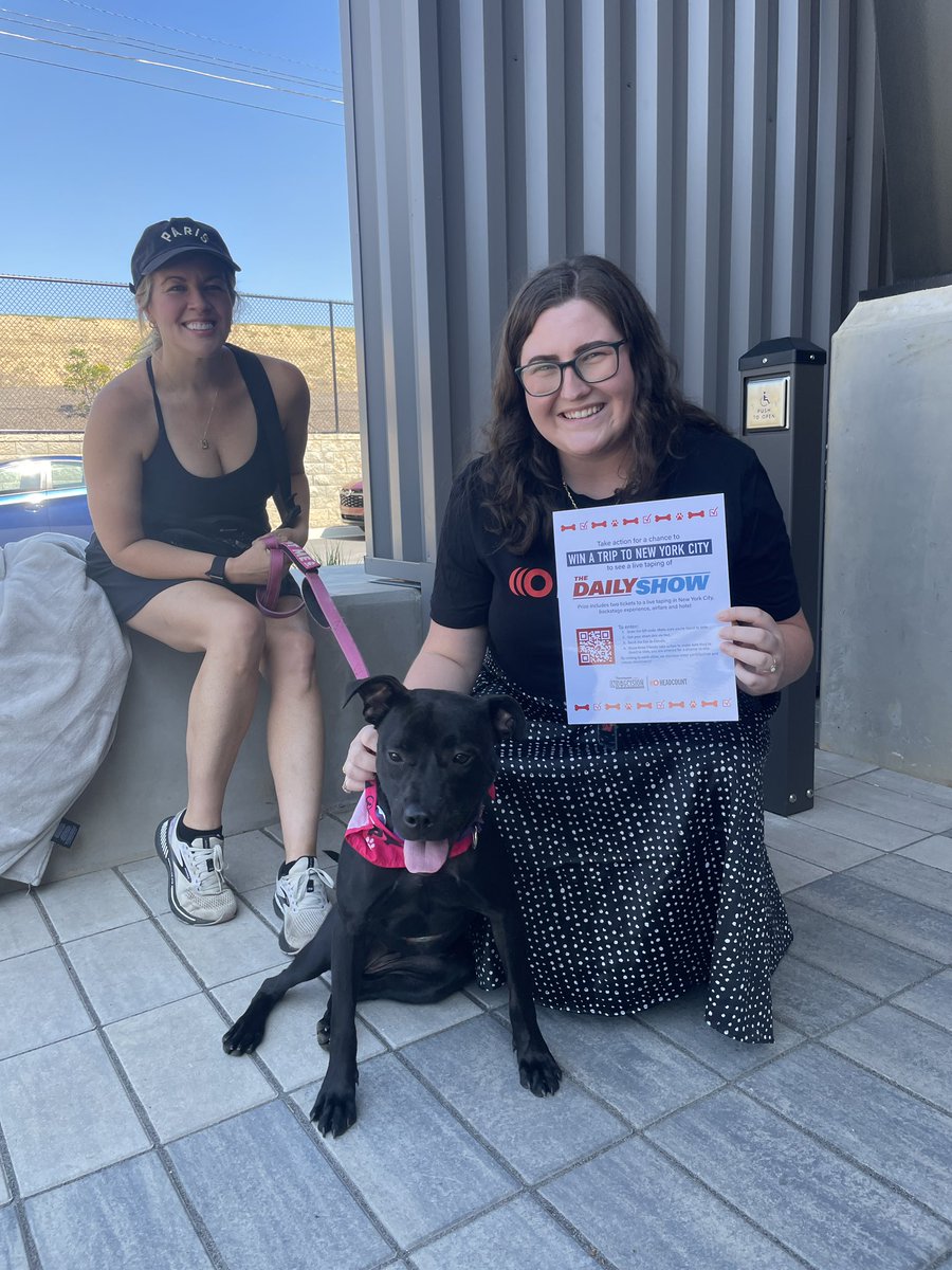 We’re with <a href="/lifelineanimal/">LifeLine Animal Project</a> at Fulton County Animal Shelter helping folx #registertovote with <a href="/HeadCountOrg/">HeadCount | Register To Vote</a> and #adoptapet so come out and check your #voterregistration status, win a trip to see <a href="/TheDailyShow/">The Daily Show</a> in NYC and find your new fur buddy!