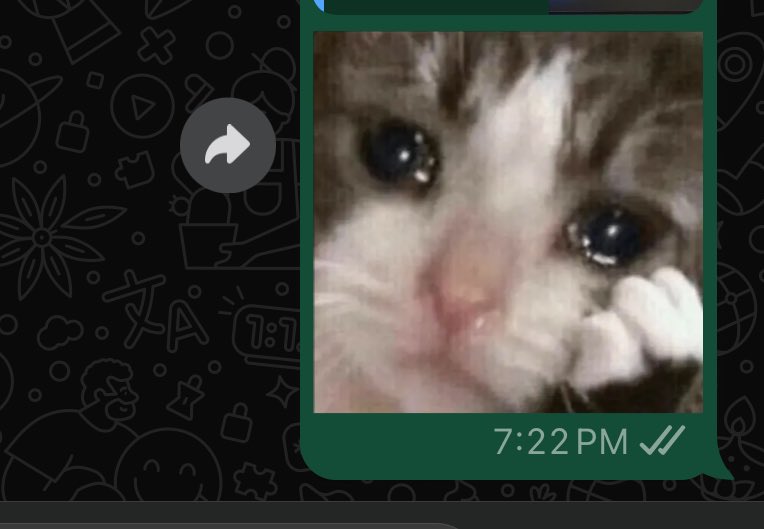 fay_cs's tweet image. هذا المميز لسان حالي مع تسجيل المواد هالسمستر: