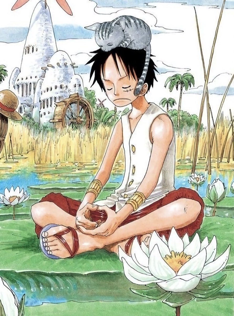 One Piece (@onepiecepanel) on Twitter photo 