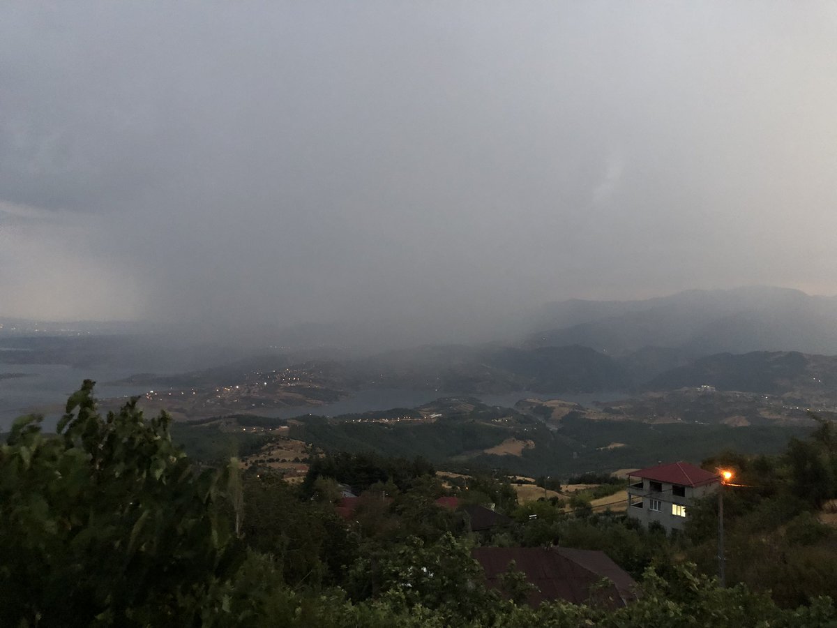 Mehmet Tekerek tweet media