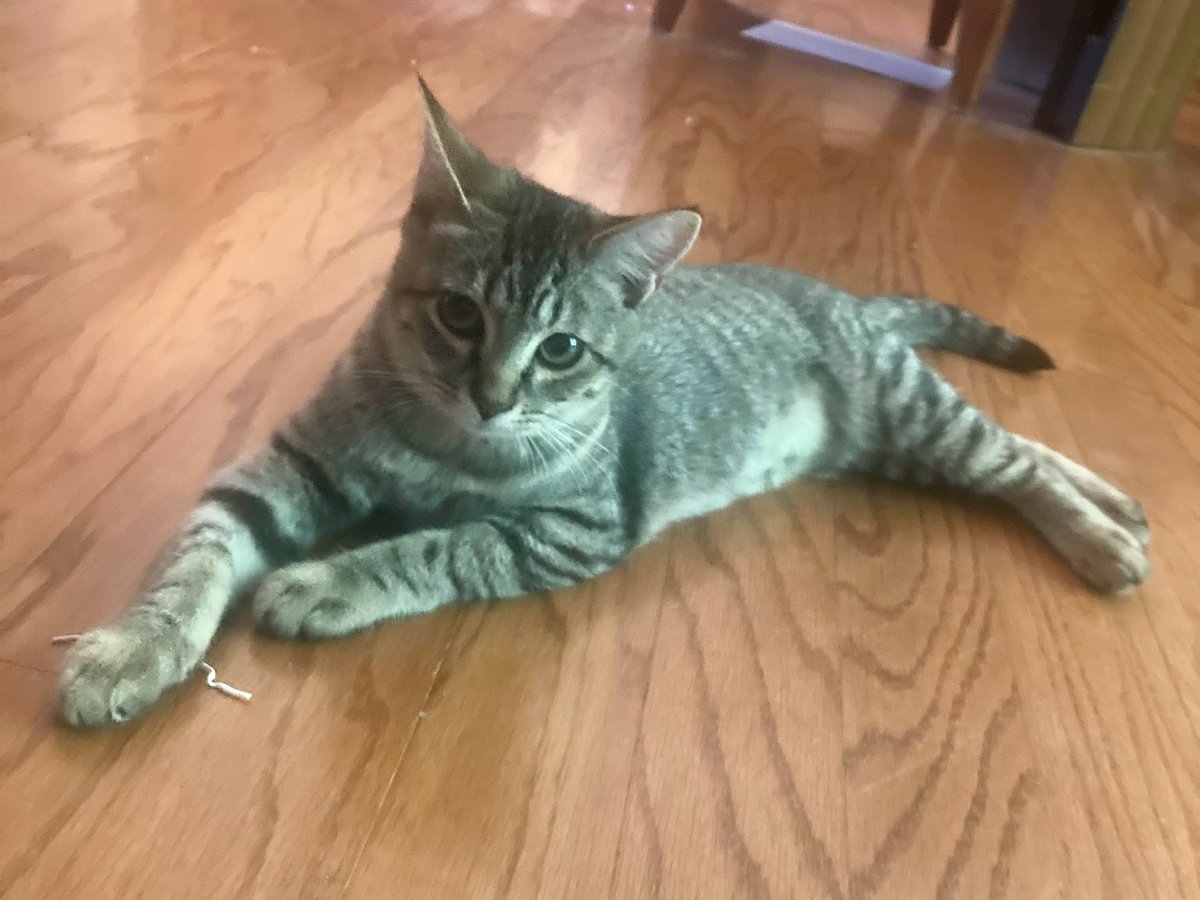 dr. alicia andrzejewski (she/her) tweet media