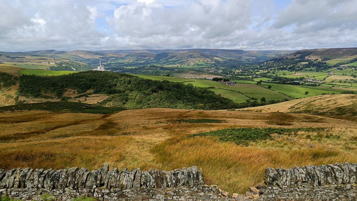 Will Taylor tweet media