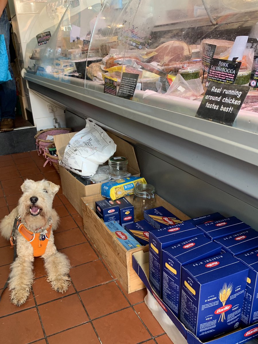 StanleyLakeland's tweet image. OMD!!! I’m in the butchers and I’m not leaving 🤣 There’s all you want and more 😋 #Yelvertoft #DogsOnBoats Squ!sito #DogHeaven