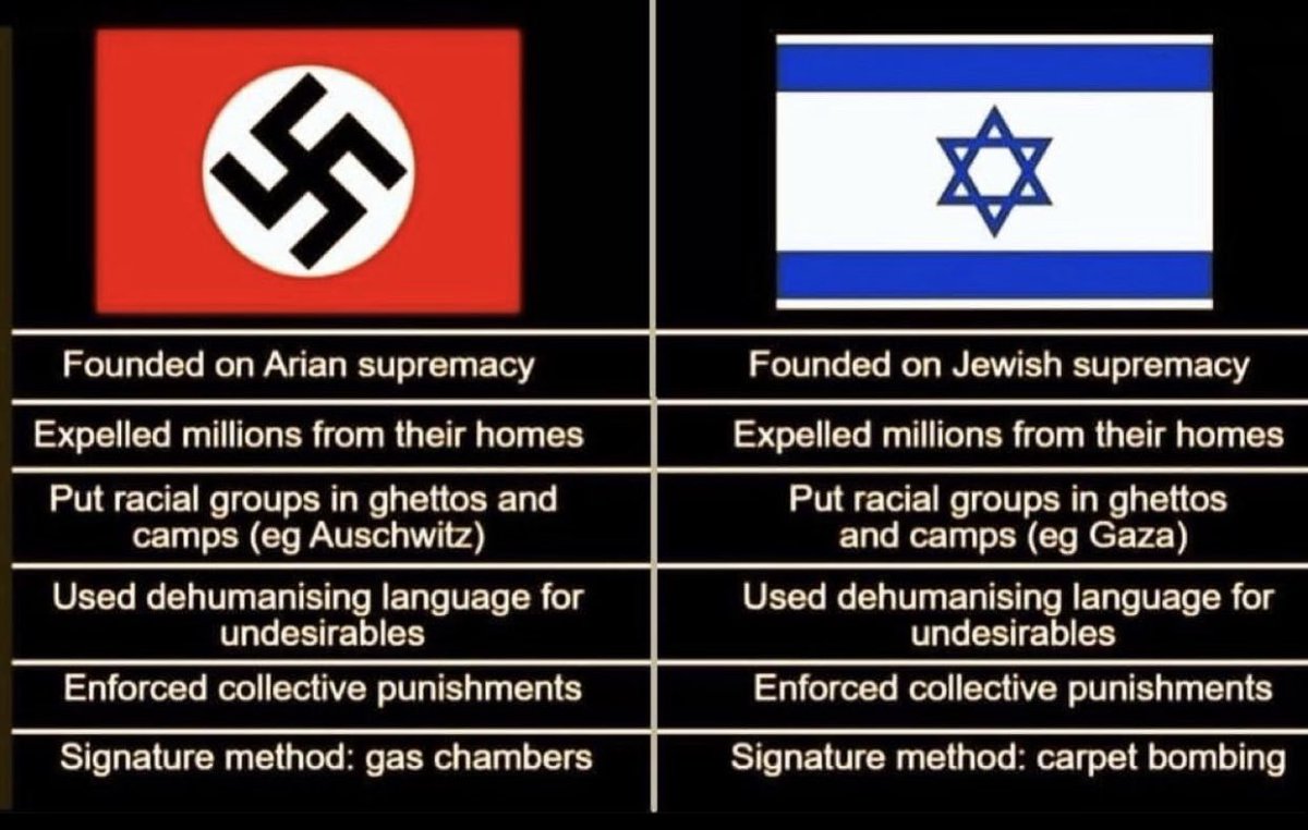 Leonard Zilvinger 🇧🇪🇵🇸 tweet media