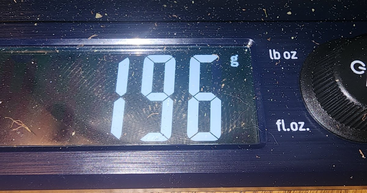 kclightup's tweet photo. Total of 370 grams just over 13 ounces off of the @Speedrunseeds Slamberry counting the 3+ ounces I froze. Nice harvest off 1 autoflower. #CannabisCommunity #growyourown #organic #notill #livingsoil #earthbox https://t.co/VNIS3bfHuM