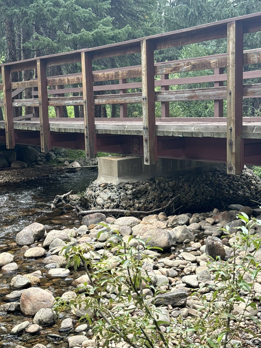painter_tiffany's tweet photo. balancing life with
bag of rocks, slab of concrete
trying to stay dry

#haikuSaturday https://t.co/LZYIWvb3P6