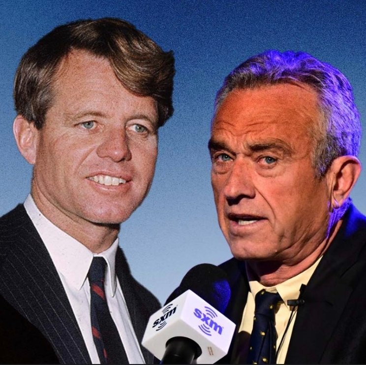 Greg Iles ☮️ (@gregiles) on Twitter photo This illustrates how far an apple can fall from the tree. (Comparable to the distance between the Milky Way and Andromeda galaxies.) This illustrates how far an apple can fall from the tree. (Comparable to the distance between the Milky Way and Andromeda galaxies.)