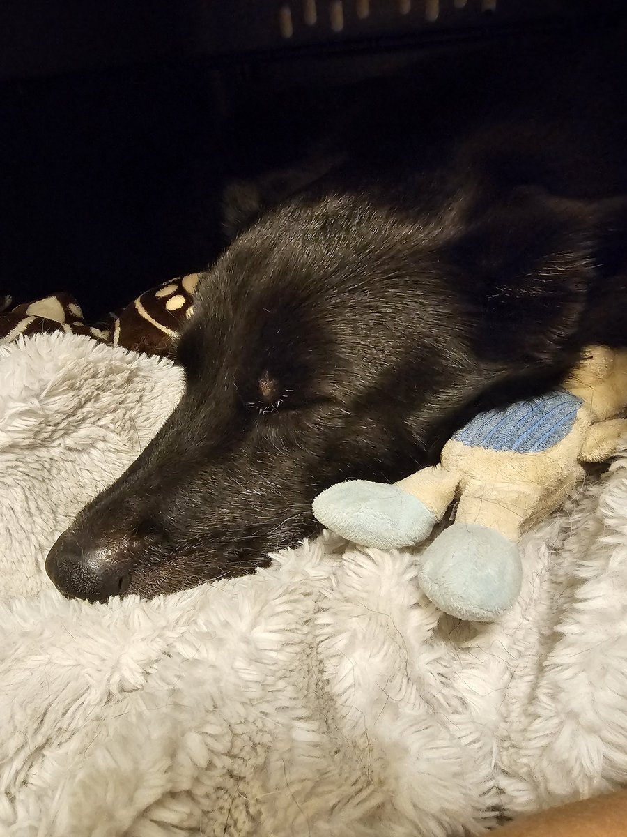 Michelle tweet media