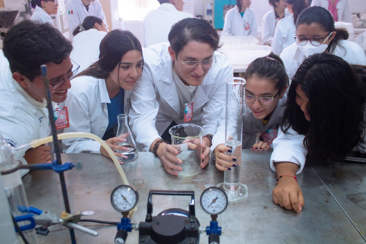 ClubesCienciaMx's tweet photo. Gracias por tantos buenos recuerdos Sede #Mérida 🥹💚🌴

Traemos muchas fotos llenas de ciencia de lo mejor de la semana clubera #CdeCMx 😎👩‍🔬

#STEM #nonprofit #education #STEMAmericas https://t.co/okWDxntPZE