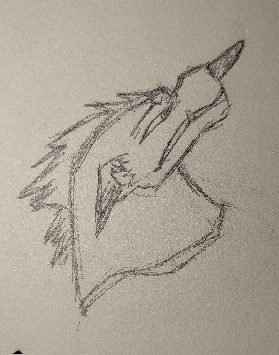 CS_Monsoon's tweet photo. #bosswolf
a cool expression in kfp2
love this lovely dog sooooooo much😋 https://t.co/fLw9Dsra36