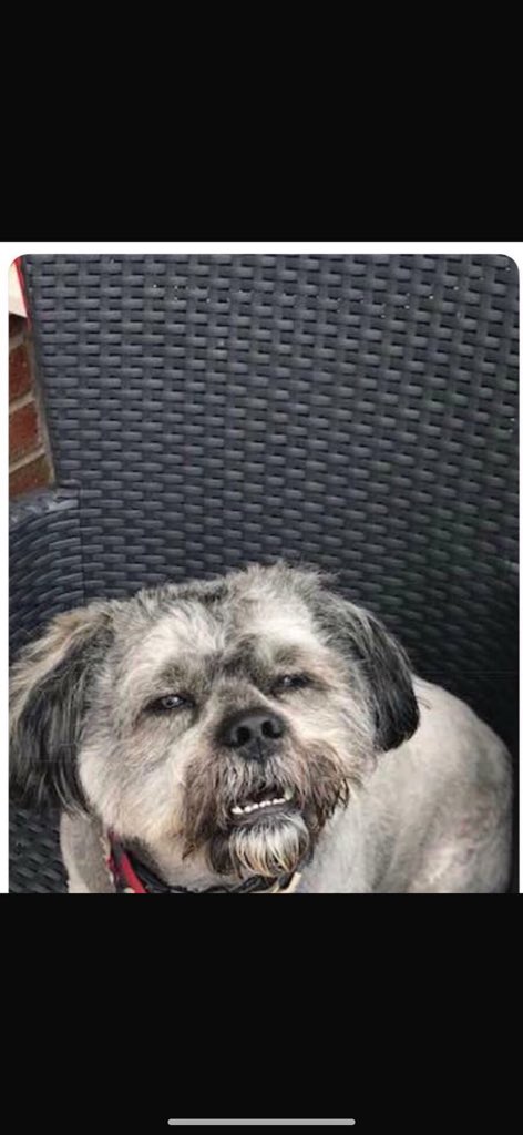 Jamie Mills tweet media