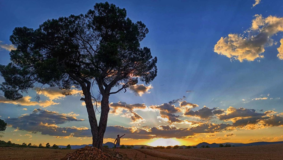 🌄Atardecer en Molinicos de mediados de agosto. 🌳Pino del Retamal. #SierraDelSegura #Albacete #meteoAB

© Tamara López