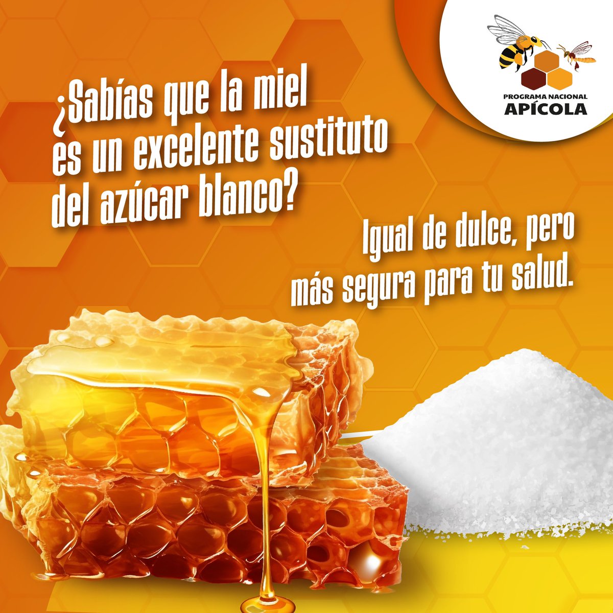 ProgramaApicola's tweet photo. Se ha dice mucho de los #efectos #negativos del #azúcar blanco en el cuerpo. La #miel es un gran sustituto que es igual de #dulce, también es seguro de #consumir . Aunque la miel también incluye azúcares simples en su composición química, es bastante #diferente del azúcar blanco https://t.co/Uiw2LrOTZd