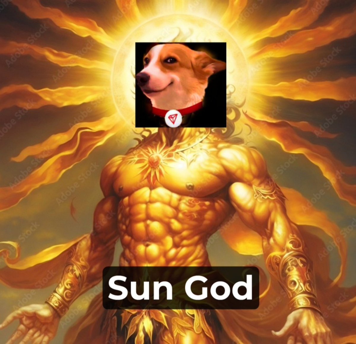 RetardTheDegen's tweet photo. $SUNDOG you are a damn God to me
LFG 🚀☀️ #SUNDOG 
@SamuelXeus @Emanuelsielo @Paulchidi5 https://t.co/iiwcno7R9j