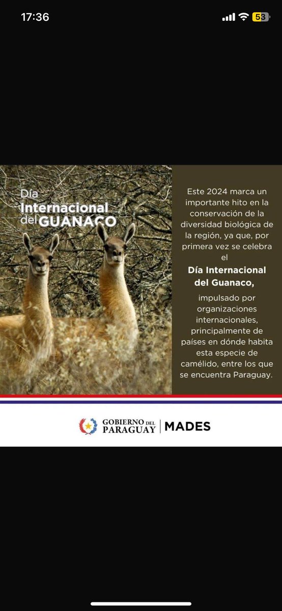 Ayer fue el día del
Guanaco. Con los <a href="/GusanosdelBarro/">Gusanos del barro</a> le hicimos una canción. 

youtu.be/Pp9F6Ne1pg4?si…
