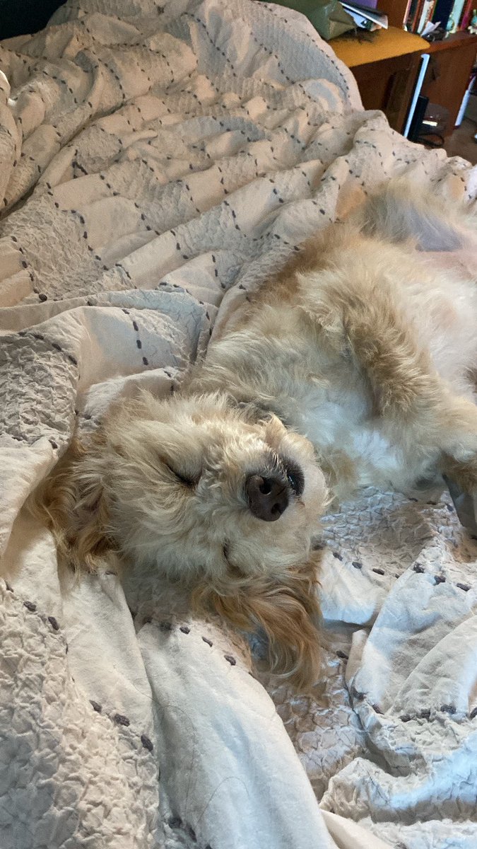 Auntie Jo on duty 🫡