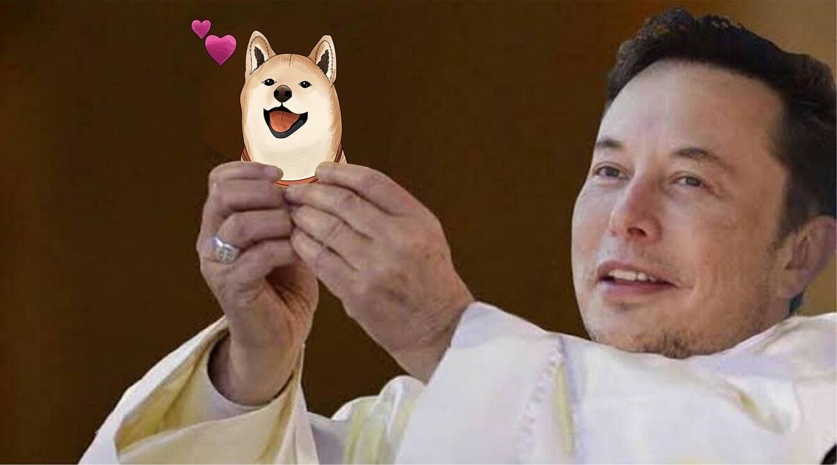 not even elon can resist $TOBE’s charm 🐕🚀 we’re blessed, we’re ready.