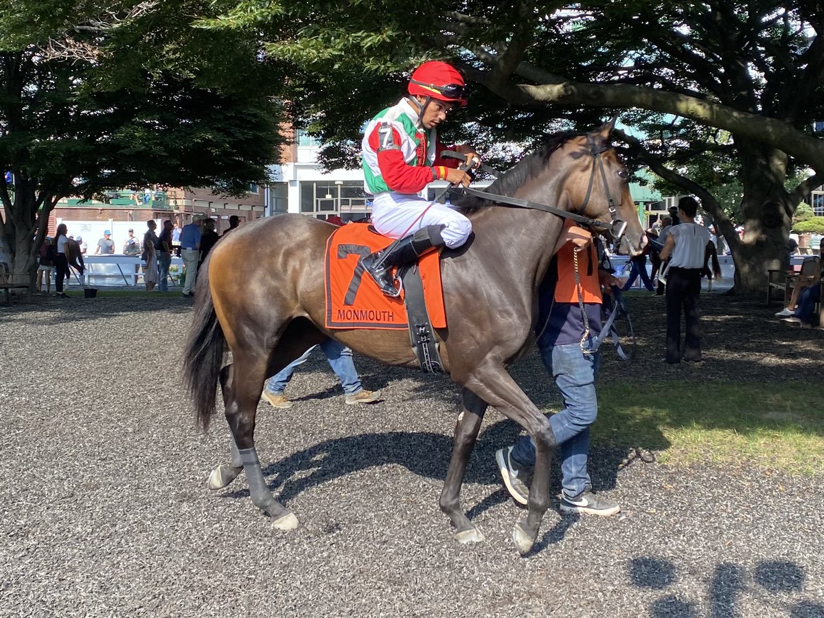 Monmouth Park Racetrack Memories (@parkmonmouth) on Twitter photo Sorority Stakes 2024 won by Social Fortress with Jaime Rodriguez up for Jamie Ness <a href="/MonmouthPark/">Monmouth Park</a> Sorority Stakes 2024 won by Social Fortress with Jaime Rodriguez up for Jamie Ness <a href="/MonmouthPark/">Monmouth Park</a>