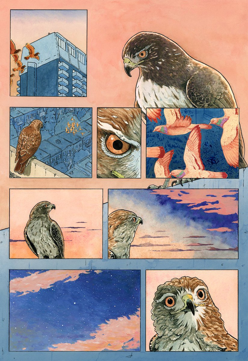 FalseKnees's tweet image. The Watcher