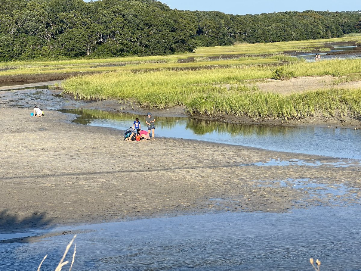 Michelle Kessel tweet media