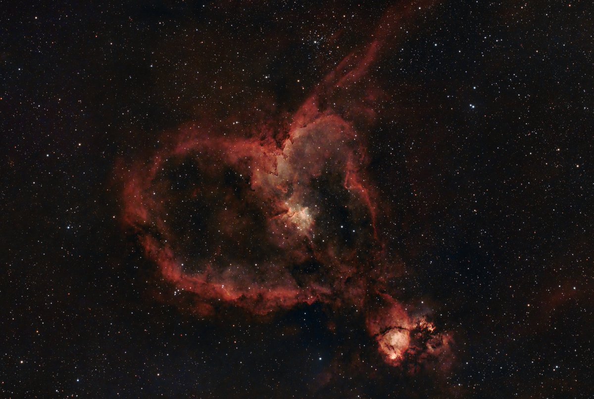 Heart Nebula, work in progress.
Askar FRA300
ASI2600MC Duo
Antlia Quadband filter
2 nights, 11 hours total
#Astrophotography  #heartnebula #space #onlyrealspacephotos
