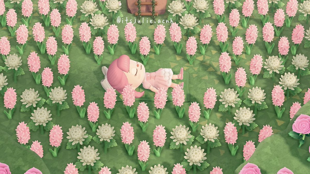 itsjuliexoxo's tweet image. laying in a field of hyacinths 🫶🏻💕
#acnh #animalcrossingnewhorizons #animalcrossing