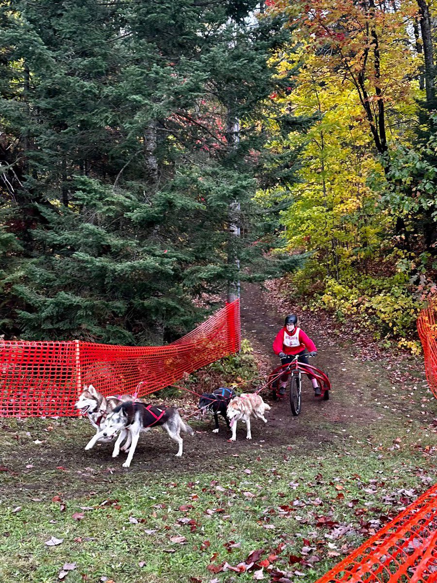 UP200 Sled Dog Race tweet media