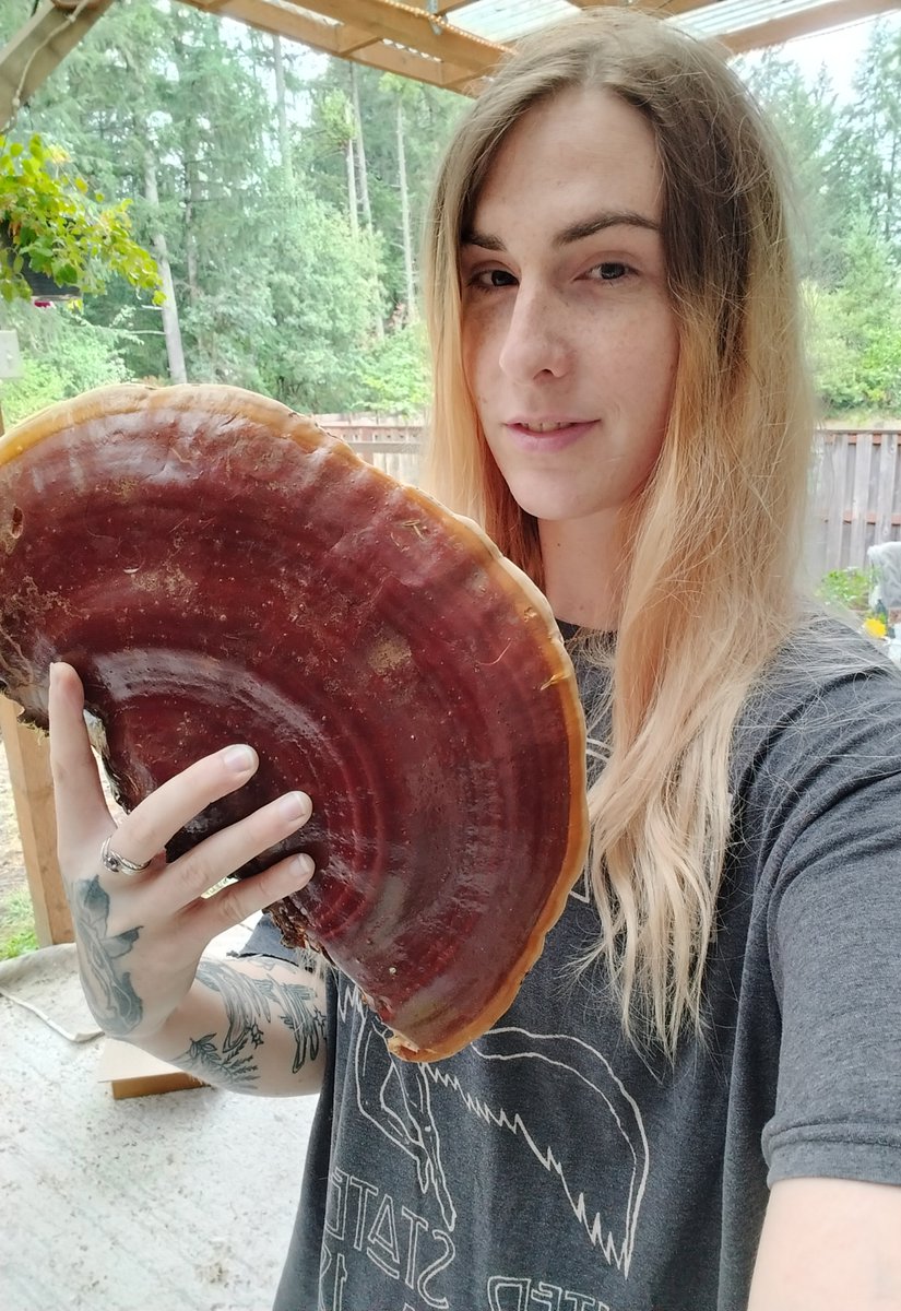 rienne, orca mother tweet media